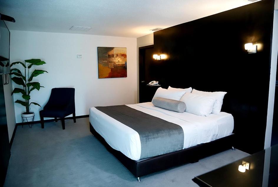Stay Inn Hotels Reynosa Dış mekan fotoğraf